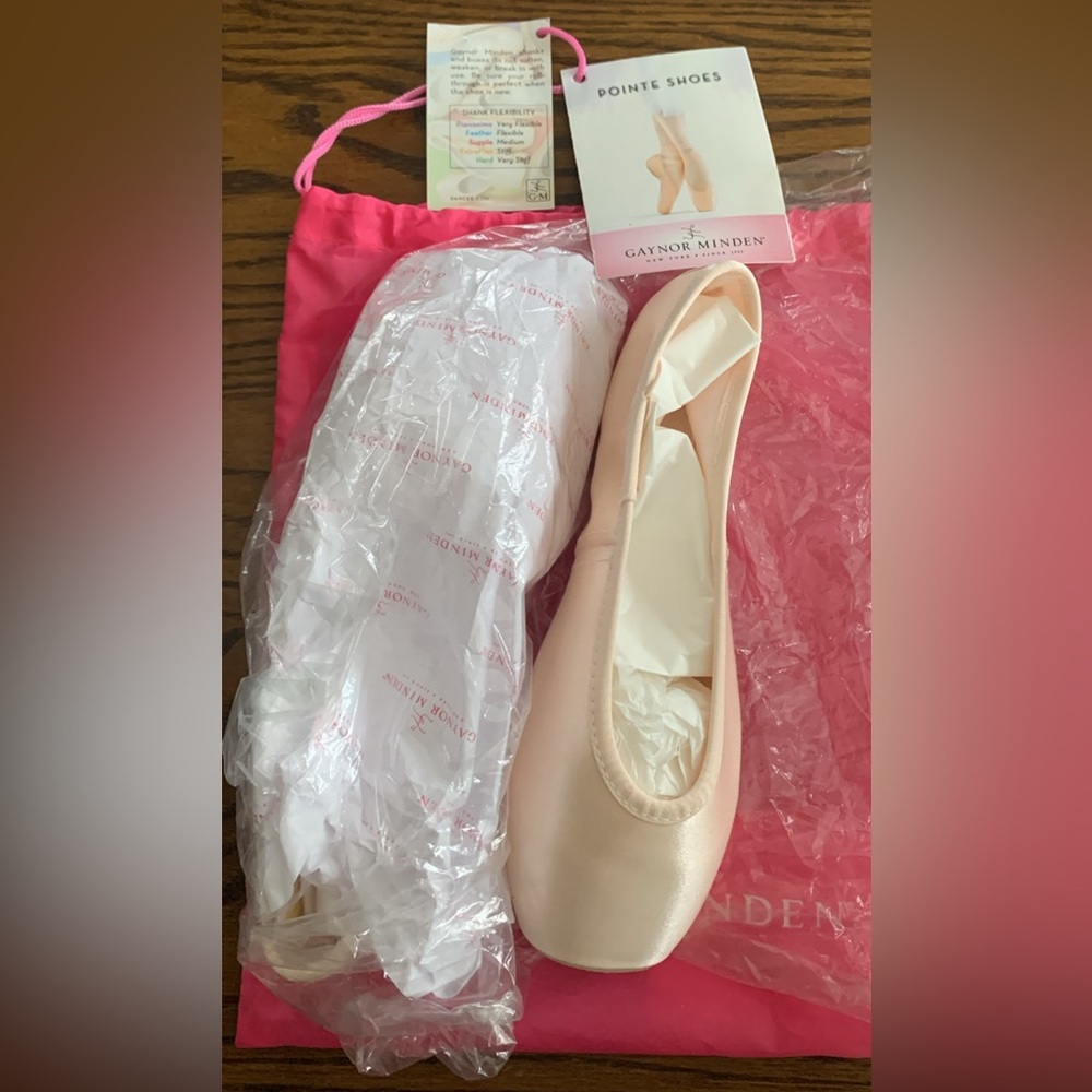 Gaynor Minden Pointe Shoes